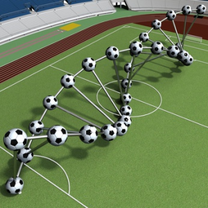 Soccer genetics pic